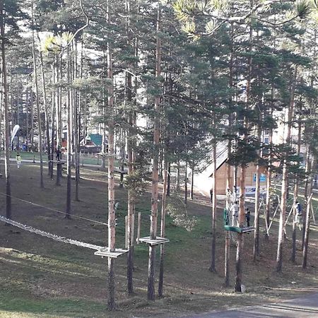 Lux Apartman Ss Zlatibor Vila Pekovic Green Rum bild