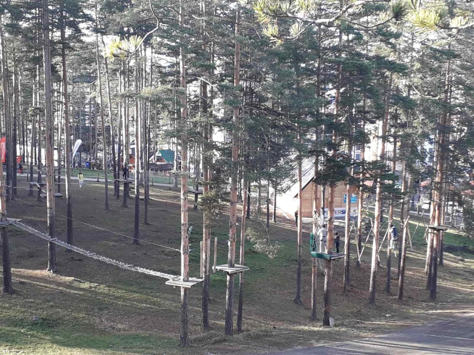 Lux Apartman Ss Zlatibor Vila Pekovic Green Rum bild